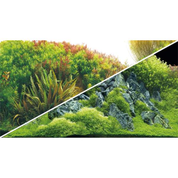 Planted River/Green Rocks